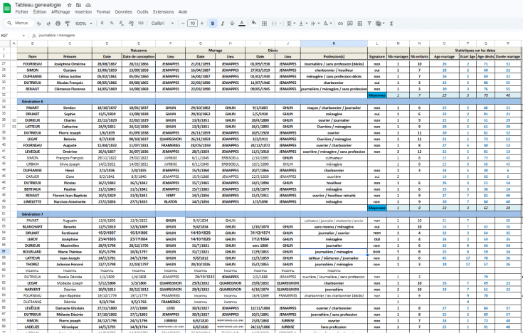 Capture d'écran d'un tableau Excel de généalogie listant les ancêtres borains (familles Fourneau, Simon, Dutrieux) avec noms, dates de naissance, professions ouvrières à Jemappes et Ghlin, et statistiques démographiques.