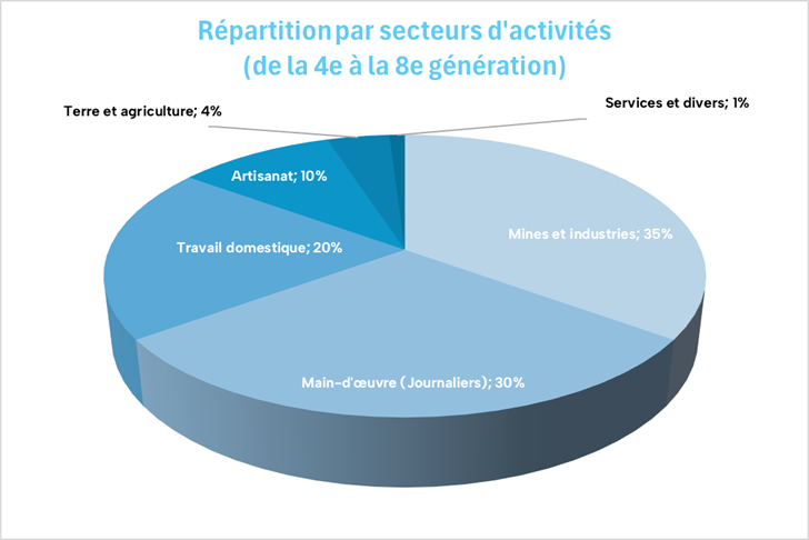 Graphique circulaire montrant la répartition socio-professionnelle des ancêtres borains de la 4e à la 8e génération : 35% Mines et industries, 30% Journaliers, 20% Travail domestique.