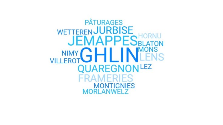 Nuage de mots des lieux de naissance des ancêtres borains mettant en évidence Ghlin, Jemappes, Jurbise, Quaregnon et Frameries.
